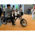 popular electric bicycle chopper bike 750w free shipping